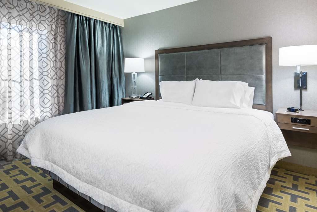 Hampton Inn & Suites Atlanta Buckhead Place Δωμάτιο φωτογραφία